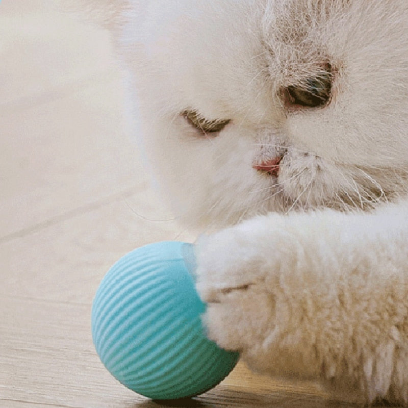 Smart Cat Toys Automatic Rolling Ball Electric Cat Toy